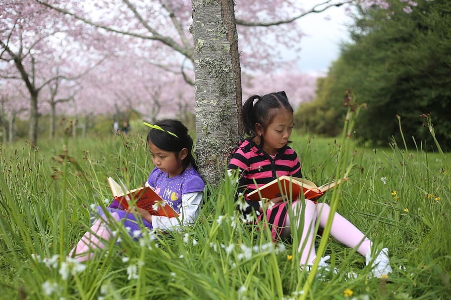 children reading books under a tree